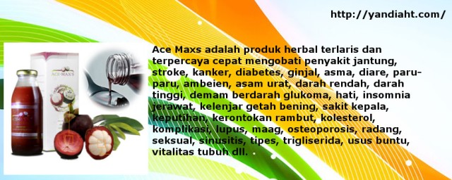 Ace Maxs